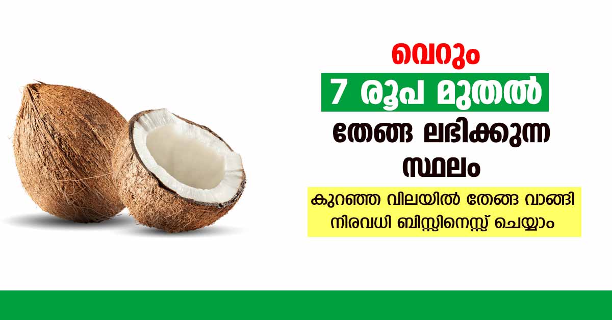 Coconut Based Business Ideas with Low Investment