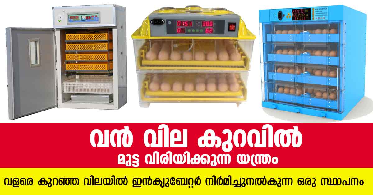 egg incubator low price in kerala
