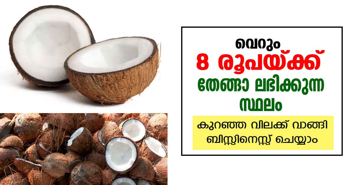 coconut low price wholesale price in tamilnadu