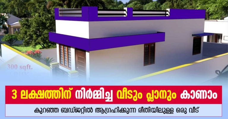 3 Lakh budget home and plan in kerala
