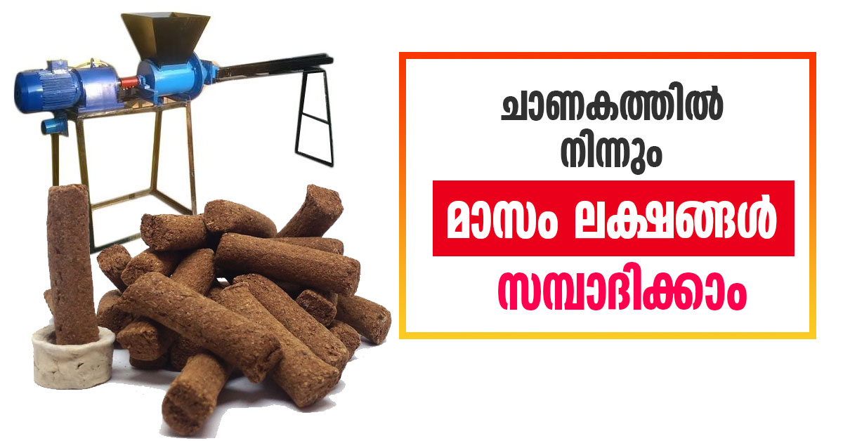 cow dung stick making business in kerala